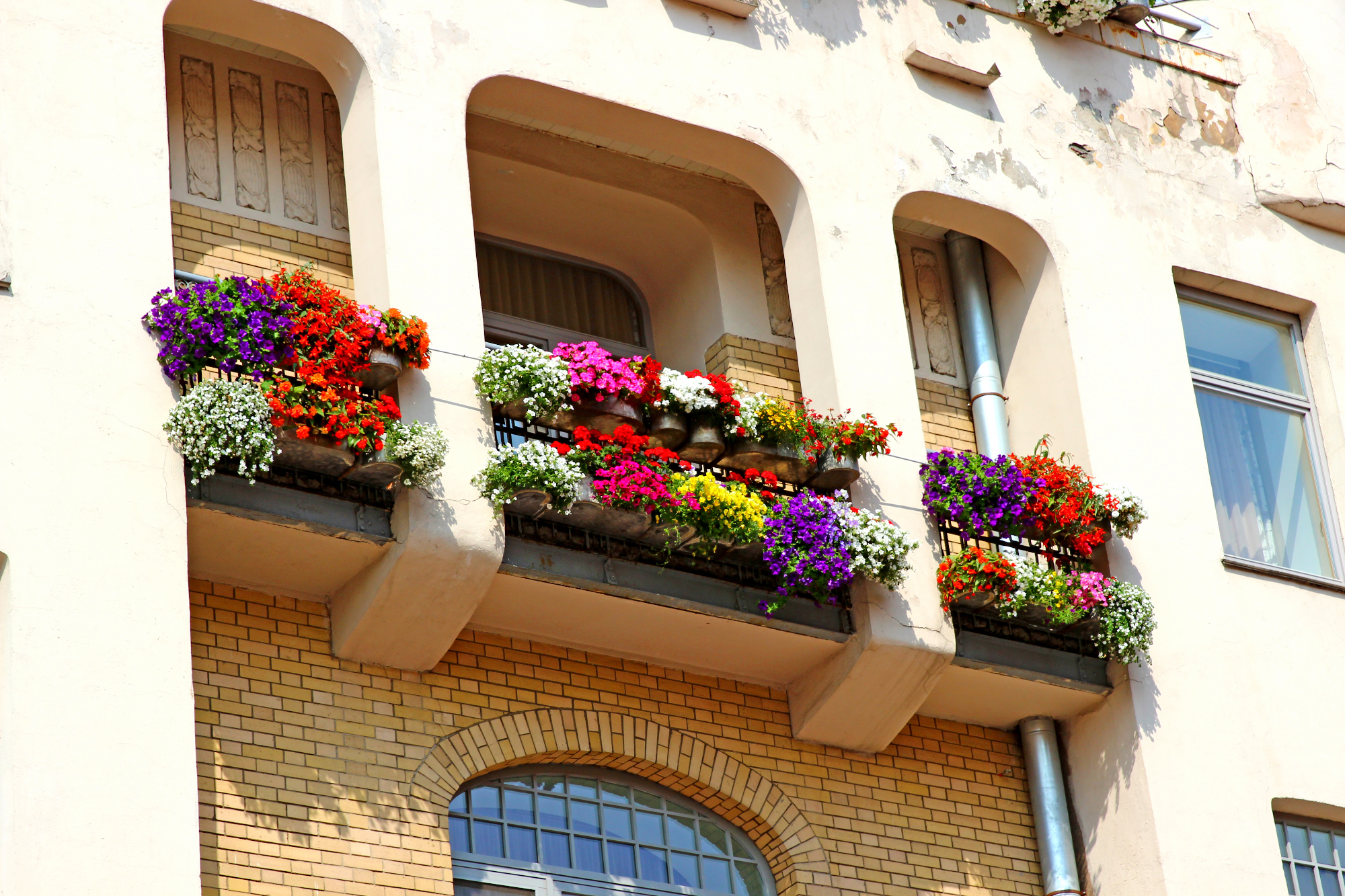 Pomlad in balkonske rože